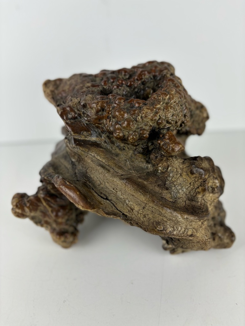 Natural Burl Wood Root Sculpture/Rustic Decor/Unique Organic Form